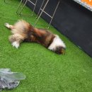 관악농협 | 관악구 파티룸, 사상 최대 이벤트 루프탑 무료 + 바베큐무료 (선착순 5팀)