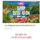 크레이지티브 | 베트남 달랏 여행 당일치기 알찬 근교 나트랑 투어