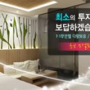 애드와이즈