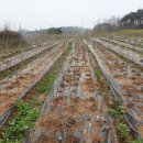 꿈꾸는동산 이미지