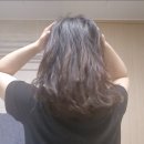 씨피원