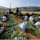 송악읍행정복지센터 이미지