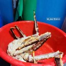 위드크랩 이미지