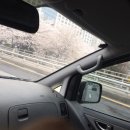 양현교 이미지