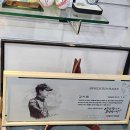 상인스크린골프 이미지