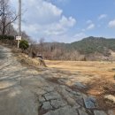 뒷골녹지 이미지