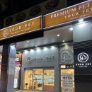 유어펫 강아지분양 고양이분양 본점 이미지