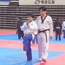 최영석태권도장 네이버블로그
