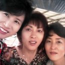 송곡초교 이미지