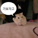 율하우리들약국 | [22w] 조금씩 여기저기 다녔던 시간
