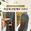 갤러리카페801 | 교대역 미용실 오즈 서초교대점 선욱디자이너, 아윤채 모발케어로 찰랑이는 머릿결