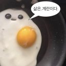 TO. 집에서 심심한 횡성댁