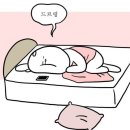 6-248 TS | 종소리 공부법 4일차