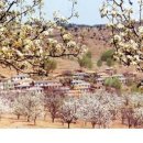 용정농장 이미지