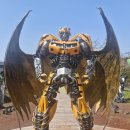 제주아이 이미지