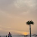 신신타워 이미지