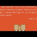 집값의거짓말,김원장,아파트공화국,발레리줄레조,고층,홍콩,상습침수,서울창전동,와우아파트,김현옥서울시장,여의도시범아파트,박정희,대통령,성냥 이미지