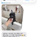 까꼬노라 네이버블로그
