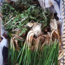 호성농장 이미지