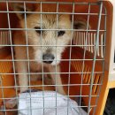 일운면사무소 이미지