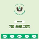 퍼피트리 이미지