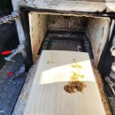 반려마루 동물병원 이미지