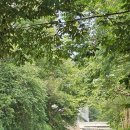 국가공무원인재개발원 과천분원 앞 | 과천시립요양원 개원