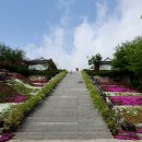 대명사 - 서구 심곡로8번길 3-9 | 대명사