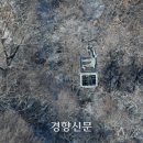 [단독] 서울시, 남산 곤돌라 장점만 나열한 ‘답정너 설문조사’ 이미지