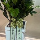 분당유외과의원 이미지