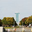 대구대학교