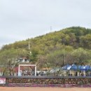 홍도화피는집