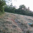 미암농장 이미지