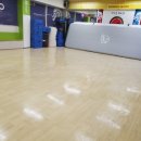 라이온태권도체육관 이미지