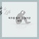 레보필의원