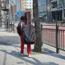 공명(共鳴) Daum카페