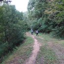 원주굽이길 4코스 꽃양귀비길 이미지