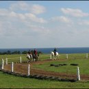 올레목장 이미지