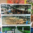 한우좋은농장 이미지