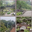 화담스테이 | 화담숲 숙소 완전정리, 현지인이 추천하는 힐링 스테이