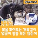 부은농장 이미지