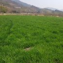 옥룡면사무소 이미지