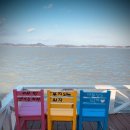 함초식당 소금항카페 이미지