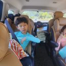 260613 / 발 담그는 순간 힐링, 비슬계곡 물놀이 후기