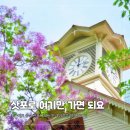 케이트팜 | 홋카이도 공식 관광 사이트 인기 급상승 랭킹 TOP 5 삿포로 여름 여행 지금 여기만 가면 돼요