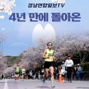 4년 만에 돌아온 ‘합천벚꽃마라톤대회’ 성료 경남연합일보TV 이미지