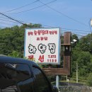 하얀집 풍천장어 이미지