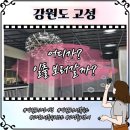 오션투유리조트 강원도 오션뷰숙소 바베큐 파노라마 오션뷰 후기 및 할인방법