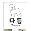 다듬 이미지
