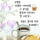 조아조아 - 전주시 완산구 태평5길 30 | 조아조아